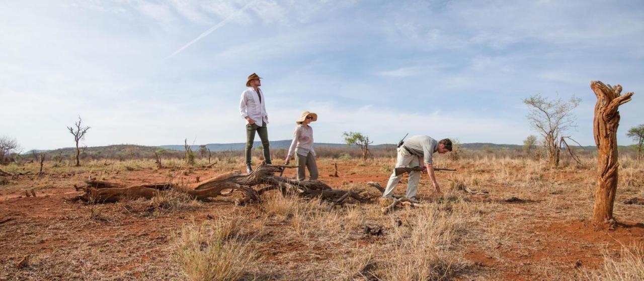 Madikwe Hills Private Game Lodge Защитен резерват „Мадикве“ Екстериор снимка